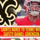 Saints agree to terms with safety Daniel Sorensen